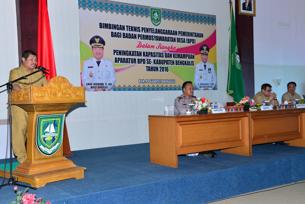 Ini Peran dan Fungsi Peran Badan Permusyawaratan Desa 